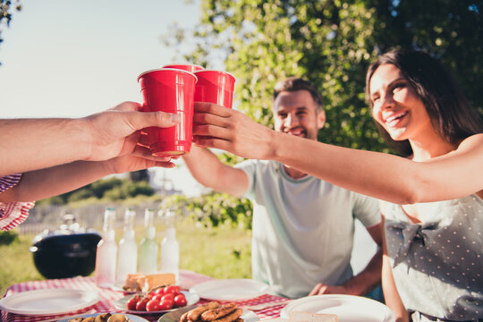 Photo of people couples best buddies celebrate summertime vacation sit feast table clink cheers beer cup having fun outside backyard garden coutryside