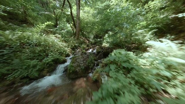 Speed flying drone view rocky river flow in tropical jungle green forest. FPV sport drone cinematic shooting river water flowing on rocks in summer jungle. Wild forest nature from drone above