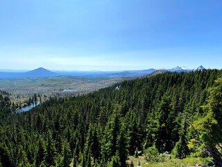 mountain landscape with trees