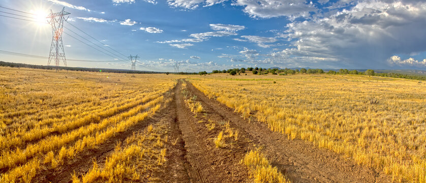 Narrow road, Fire Road 182, and grassy prairie in Prescott National Forest near Drake, Arizona