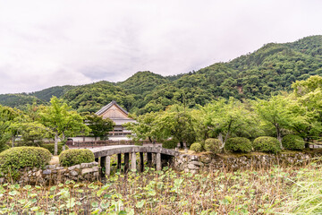 Beautiful lily pad pond in the Arashiyama area on the outskirts of Kyoto, Japan.