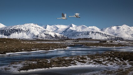 snow covered mountains