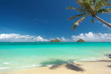 Fototapeta na wymiar 快晴のハワイ、ラニカイビーチとモクルアと椰子の木