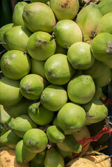 Fresh coconut products from organic farm of Thailand are ready to drink as beverage.