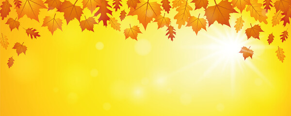falling autumn leaves on sunny sky background vector illustration EPS10