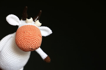 White knitted toy bull isolated on black background, New Year greeting card with free copy space for text. Chinese Year of Bull, Zodiac symbol 2021