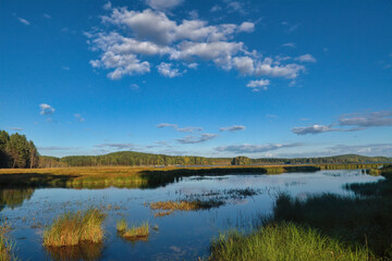 Summer landscape, forest trees are reflected in calm river water against a background of blue sky and white clouds.