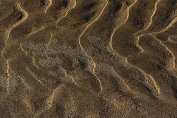 Wet sand background texture. Waves of wet sand on the riverside. A whole page of ripples in wet sand background texture