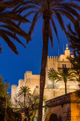 Fototapeta na wymiar Palacio Real de La Almudaina, Palma, Mallorca, balearic islands, spain, europe