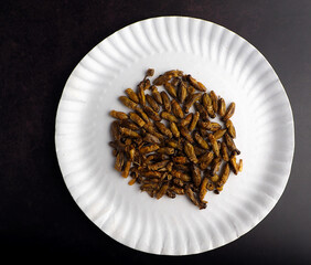 crispy cricket snack on white plate , good food for healthy lifestyle , Edible insects contain high quality protein