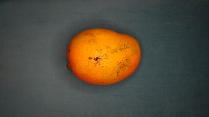 Detalhes de uma manga, em um fundo cinza