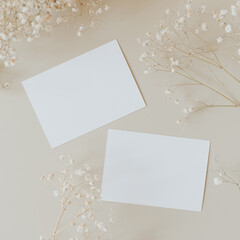 Blank paper sheet cards with mockup copy space and gypsophila flowers on beige background. Minimal business brand template. Flat lay, top view.