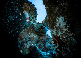 The blurred outline of a sunken ship's large propeller overgrown with coral at the bottom of the Indian ocean