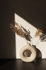 Dry pampas grass / reed in stylish vase. Shadows on the wall. Silhouette in sun light. Minimal...