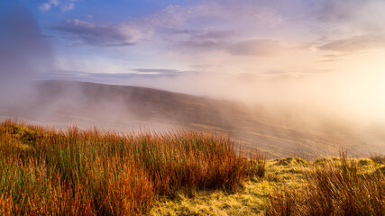 Fog, mist and dramatic sky over a moors or bog with log straws of grass. Dramatic landscape of Wicklow mountains, Ireland