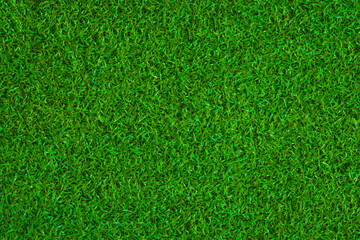 Close up of green grass, natural material and surface concept, texture for background.