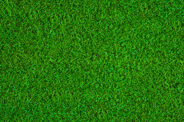 Fototapeta premium Close up of green grass, natural material and surface concept, texture for background.