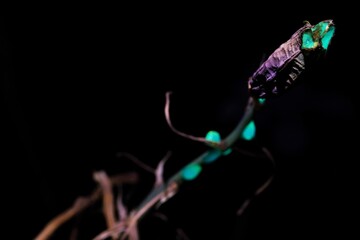 abstract colorful background