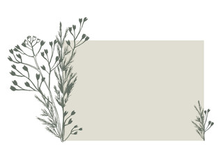 Square frame with a composition of bouquets of field grass and branches. Beautiful vector design with botanical elements for your text, illustrations for cards and invitations. 