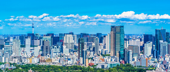 東京都市景観 ~ Tokyo cityscape, a view of Tokyo's skyscrapers from Shibuya ~