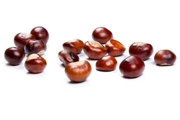 Autumn - Fresh chestnut fruits, Castanea, Horse-chestnut (Aesculus hippocastanum), close up
