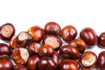 Autumn - Fresh chestnut fruits, Castanea, Horse-chestnut (Aesculus hippocastanum), close up