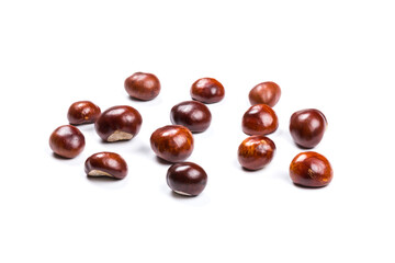 Autumn - Fresh chestnut fruits, Castanea, Horse-chestnut (Aesculus hippocastanum), close up