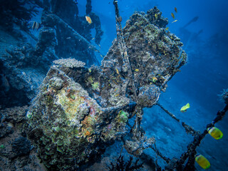 A treasure chest covered in coral on a sunken ship at the bottom of the Indian ocean