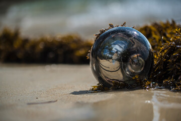 old light bulb on the beach