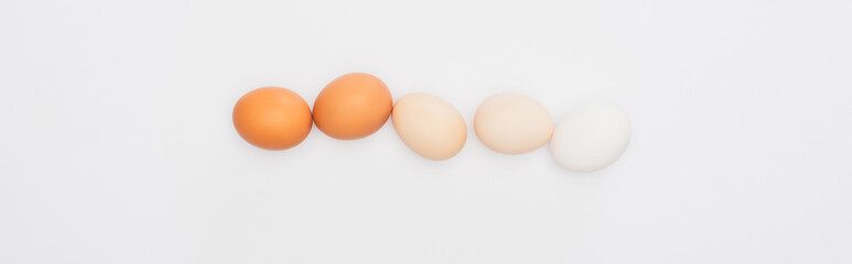 top view of fresh chicken eggs isolated on white, panoramic shot