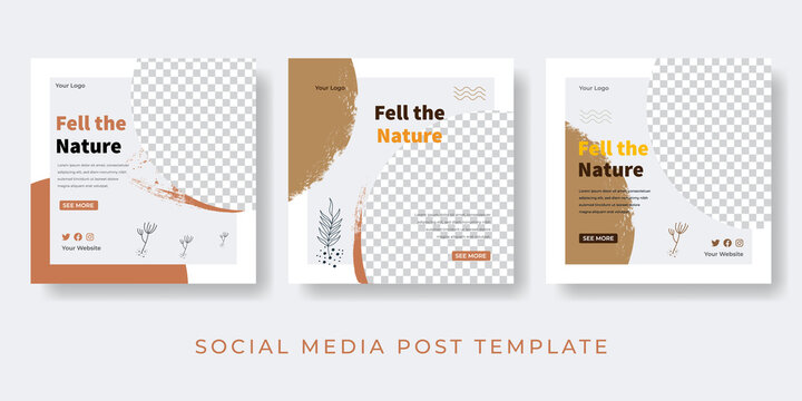 Feel the nature social media posts collection template. Vector illustration with space photo.