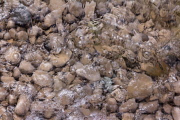 Sea stones in the sea water. Pebbles under water. The view from the top. Nautical background. Clean sea water. Transparent sea.