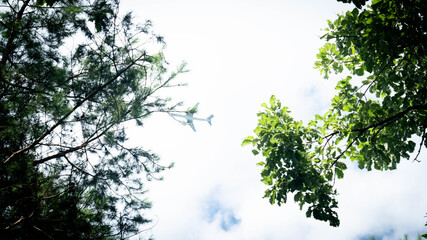 Green trees and airplane