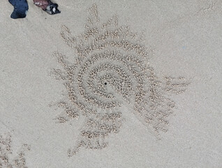 bead sand , hold crab,abstactart,sign beach