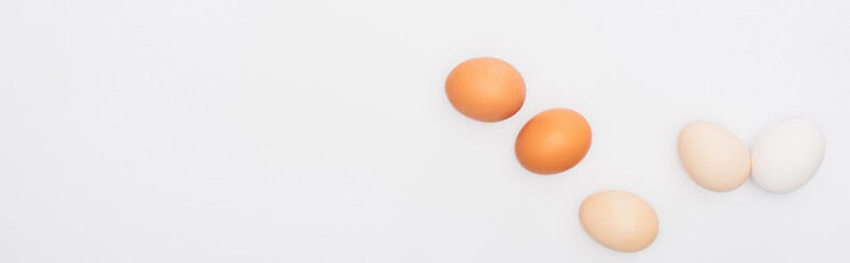 top view of fresh chicken eggs isolated on white, panoramic shot