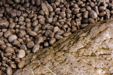 Sea stones in the sea water. Pebbles under water. The view from the top. Nautical background. Clean sea water. Transparent sea.