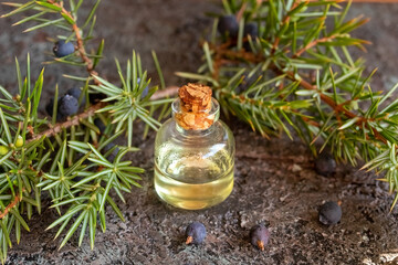 A bottle of essential oil with juniper twigs and berries