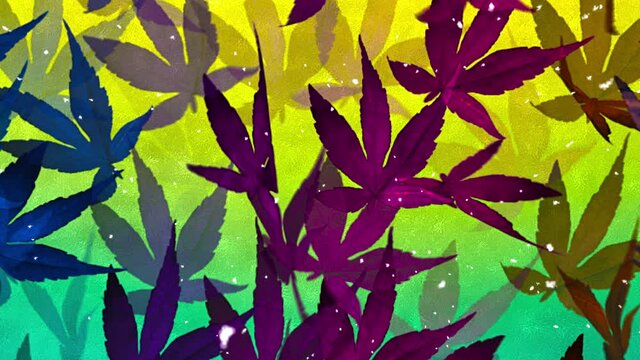Loop of autumn pattern with colorful leaves and snow. 
