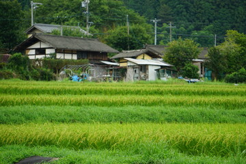 田舎の風景