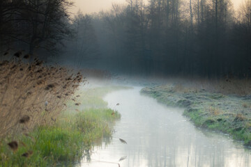 Tajemnicza rzeka we mgle o świcie, mglisty poranek nad rzeką w rezerwacie przyrody