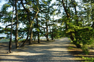 松原
