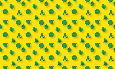 Bouganville with yellow background