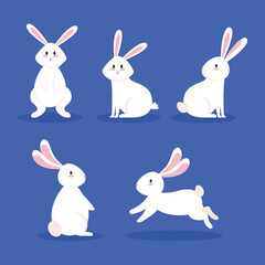 set of rabbits animals icons vector illustration design
