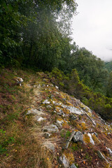 The rocky and vegetated trail in the foggy mountains of southwestern Asturias in Spain