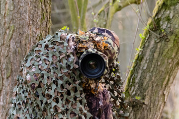 Zamaskowany fotograf przyrody czeka na zwierzynę, maskowanie, fotografia przyrodnicza, siatka maskująca - obrazy, fototapety, plakaty