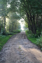 Obraz premium View of a rural foggy road at sunrise in summer