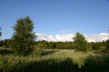 An der Holzurburg bei Bad Bederkesa