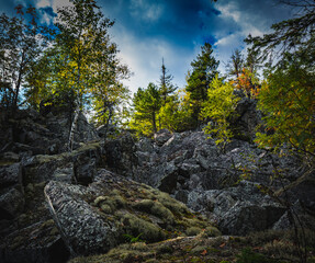 rocks in the forest