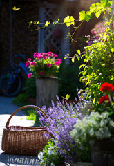 Art september garden floral landscape; beautiful  lavender flower and fly butterfly against evening...