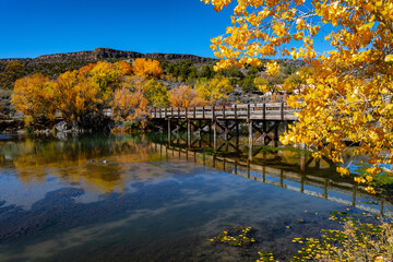 Wooden bridge and beautiful autumn colors of cottonwood trees on Rio Grande river flowing through...